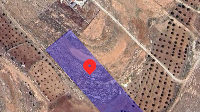 أرض في قطعه ارض في بلعما  - 31,000 دأ - صورة 1