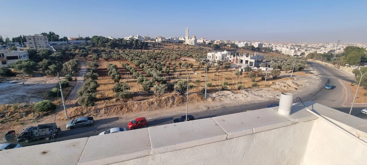 شقة في الجبيهه / حي ابو عوف / شارع جوهرة الصقلي /عماره 57 - 115,000 دأ - صورة 1