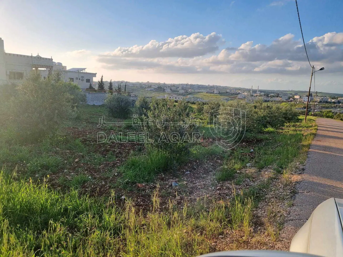 أرض في اربد بيت راس تل الملح - 60,000 دأ - صورة 1