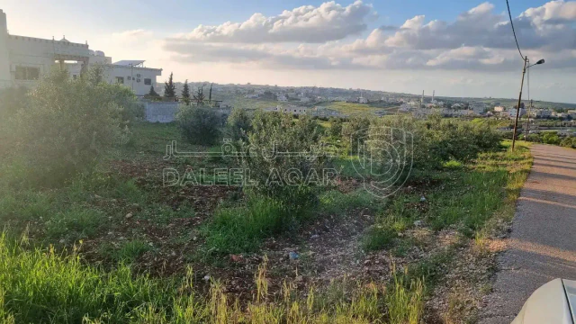 أرض - اربد بيت راس تل الملح - 60000 دأ