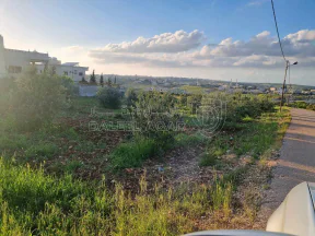 أرض - اربد بيت راس تل الملح - 60000 دأ