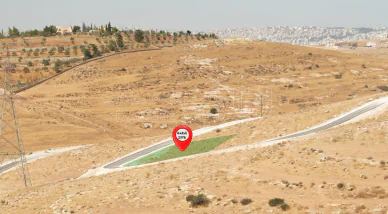 أرض في ارض للبيع في شفا بدران -زينات الربوع - 62,900 دأ - صورة NaN