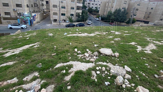 أرض في عمان - طبربور - طارق - قرب سوق طارق  - 170,000 دأ - صورة NaN