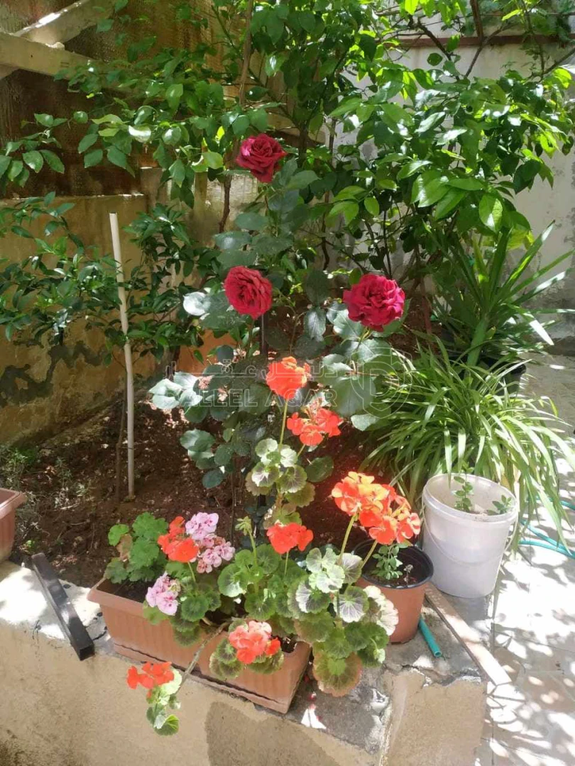 شقة في عمان ضاحية الاستقلال - 35,000 دأ - صورة 1