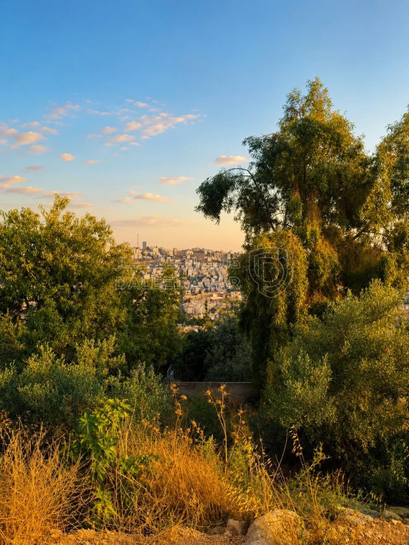 أرض في 📍 قطعة أرض لقطة ومميزة للبيع  - 68,000 دأ - صورة 1