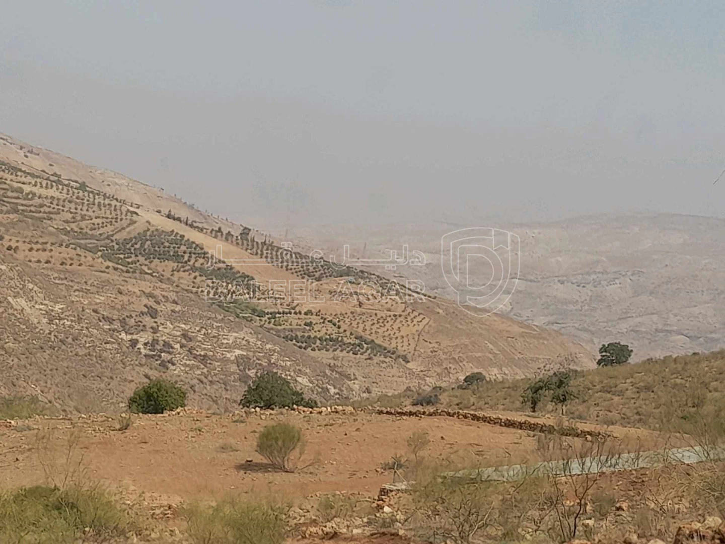 أرض في السلط -الصبيحي عرقوب الراشد - 55,000 دأ - صورة 1