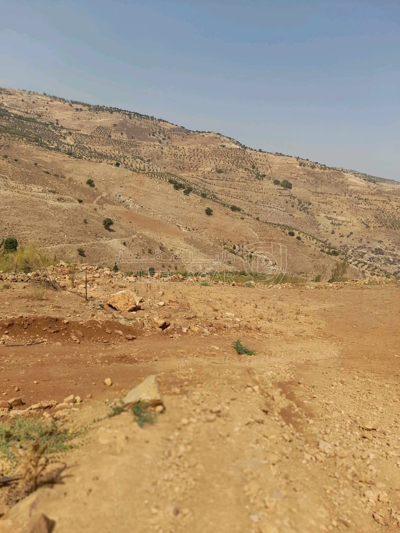 أرض في السلط -الصبيحي عرقوب الراشد - 55,000 دأ - صورة 1