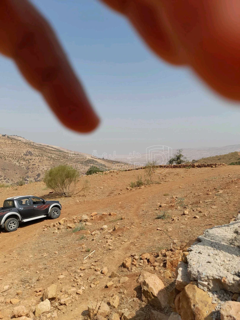 أرض في السلط -الصبيحي عرقوب الراشد - 55,000 دأ - صورة 1