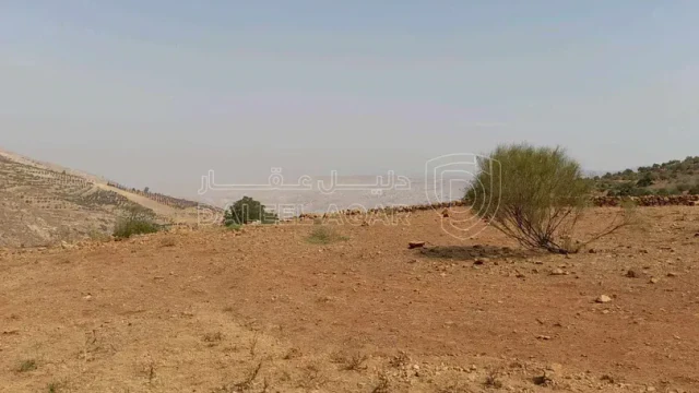 أرض - السلط -الصبيحي عرقوب الراشد - 55000 دأ