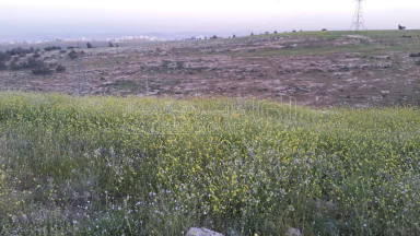 أرض في حوض المكيمين - 89,000 دأ - صورة NaN