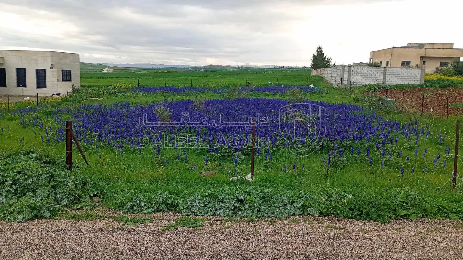 أرض في اربد الصريح المسرب الجنوبي قرب مركزالسكري والترخيص - 53,000 دأ - صورة 1