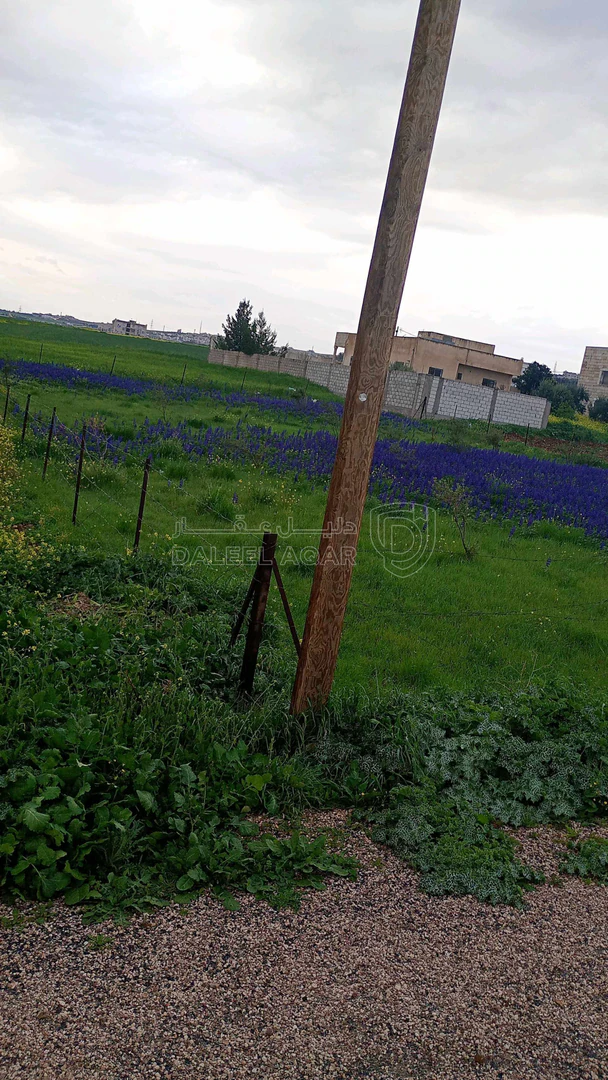 أرض في اربد الصريح المسرب الجنوبي قرب مركزالسكري والترخيص - 53,000 دأ - صورة 1