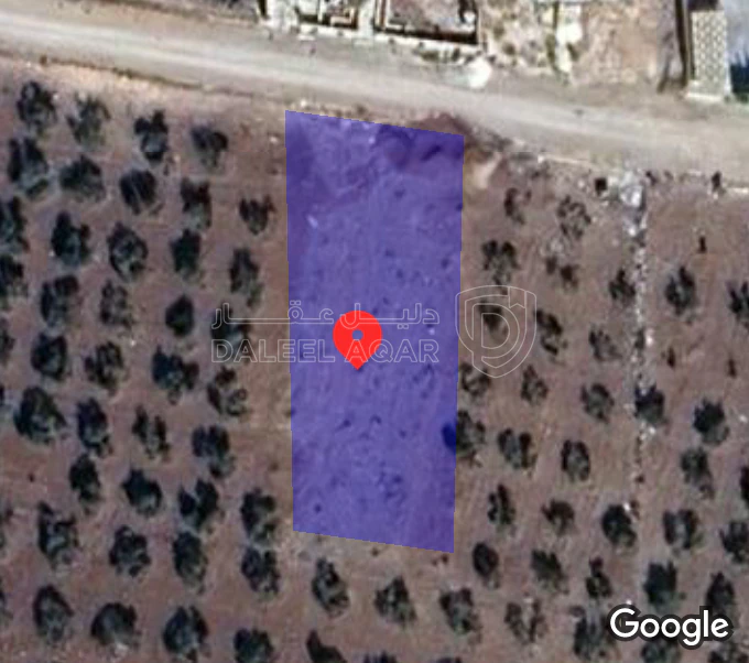 أرض في اربد اول بلده المغير  - 40,000 دأ - صورة 1
