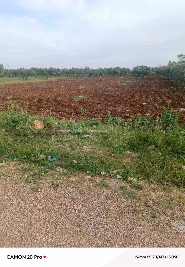 أرض في اربد اول بلده المغير  - 40,000 دأ - صورة 1