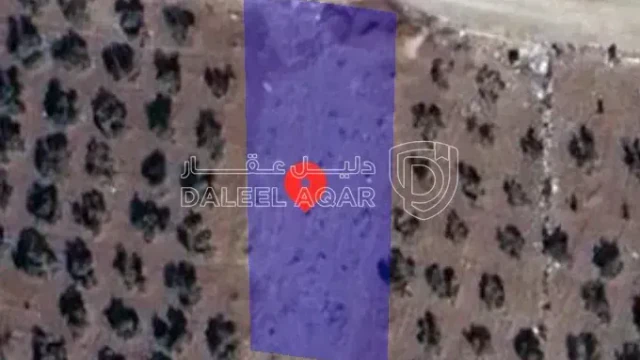 أرض - اربد اول بلده المغير  - 38000 دأ