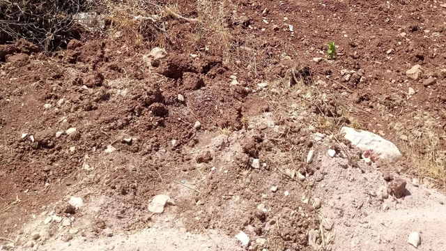 أرض في اربد اول بلده المغير  - 38,000 دأ - صورة NaN