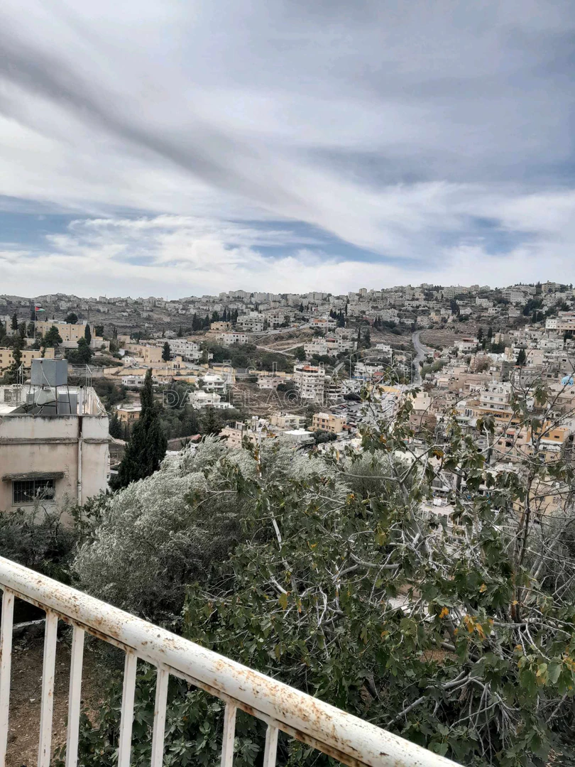 فيلا/منزل في مطعم الغربال - 220,000 دأ - صورة 1