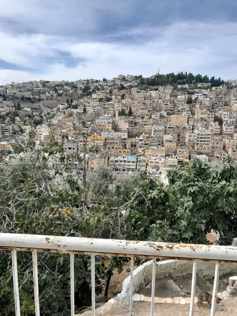 فيلا/منزل في مطعم الغربال - 220,000 دأ - صورة 1