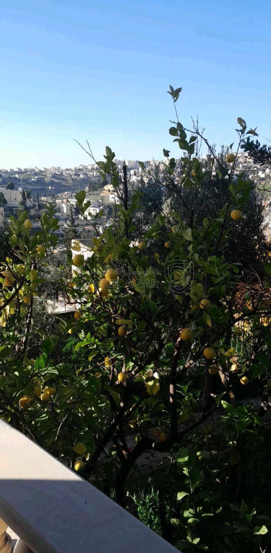 فيلا/منزل في مطعم الغربال - 220,000 دأ - صورة 1