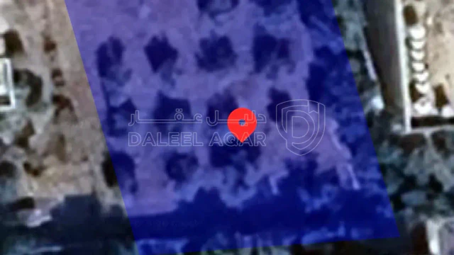أرض - أرض للبيع الحصن حوض بركة والمطلة مساحة 686  - 55000 دأ