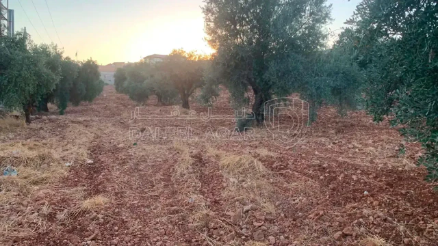 أرض - جرش سوف  - 40000 دأ