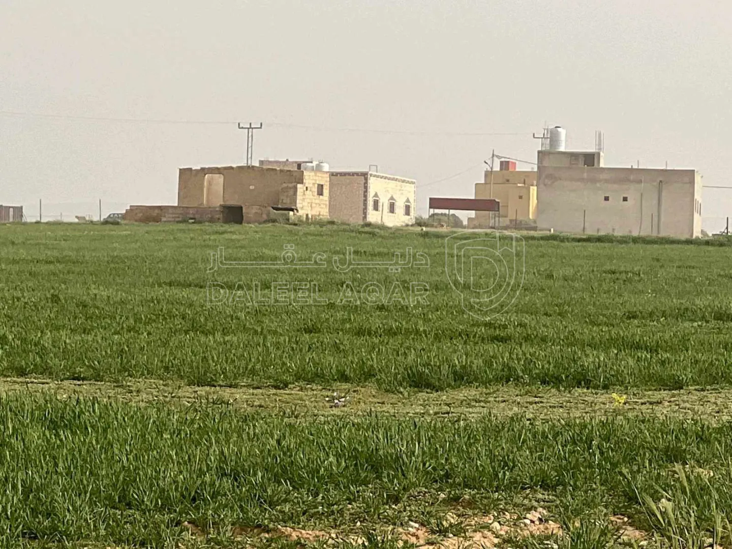 أرض في عمان اراضي جنوب عمان بريك حوض 29 الزباير الشرقي - 24,000 دأ - صورة 1