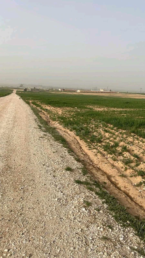 أرض في عمان اراضي جنوب عمان بريك حوض 29 الزباير الشرقي - 24,000 دأ - صورة 1