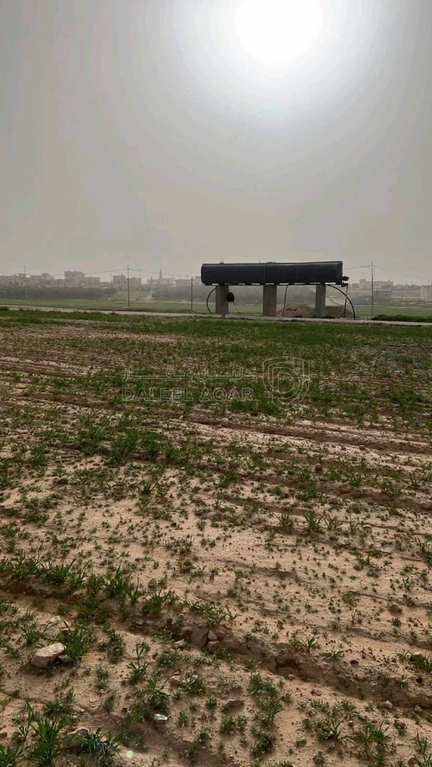 أرض في عمان اراضي جنوب عمان بريك حوض 29 الزباير الشرقي - 24,000 دأ - صورة 1