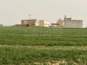 أرض في عمان اراضي جنوب عمان بريك حوض 29 الزباير الشرقي - 24,000 دأ - صورة NaN