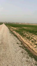 أرض في عمان اراضي جنوب عمان بريك حوض 29 الزباير الشرقي - 24,000 دأ - صورة NaN