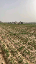 أرض في عمان اراضي جنوب عمان بريك حوض 29 الزباير الشرقي - 24,000 دأ - صورة NaN
