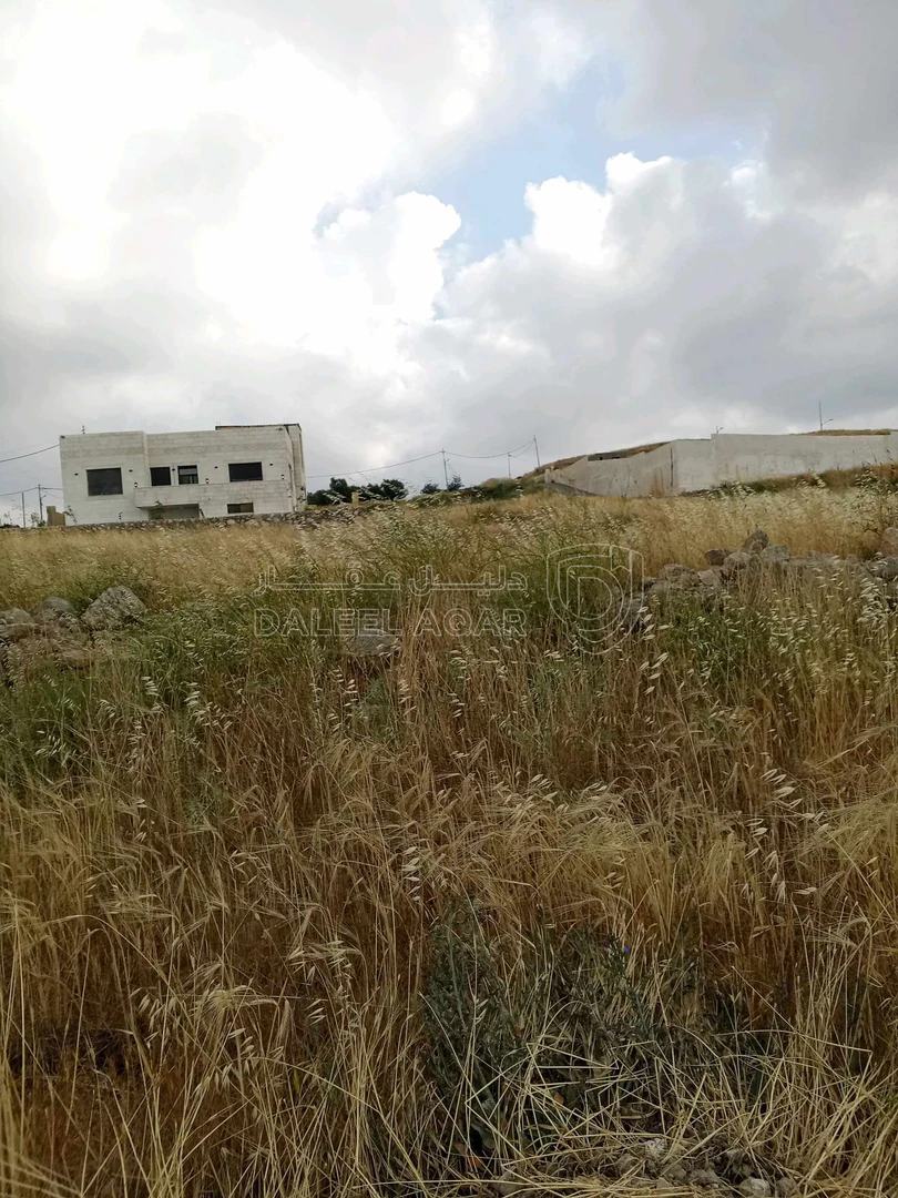 أرض في العال والروضه حوض بدر طريق مادبا الغربي - 56,000 دأ - صورة 1