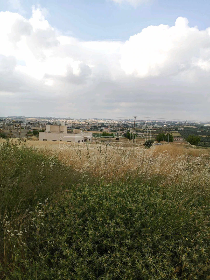 أرض في العال والروضه حوض بدر طريق مادبا الغربي - 56,000 دأ - صورة 1