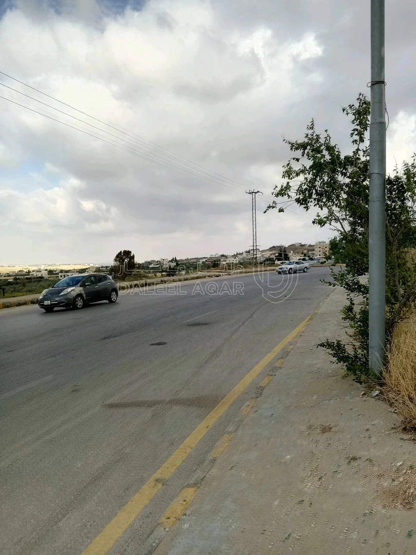 أرض في العال والروضه حوض بدر طريق مادبا الغربي - 56,000 دأ - صورة 1