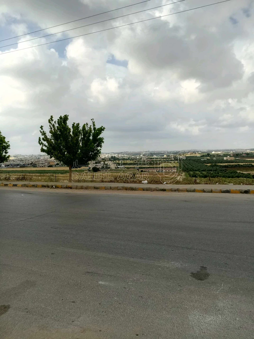 أرض في العال والروضه حوض بدر طريق مادبا الغربي - 56,000 دأ - صورة 1