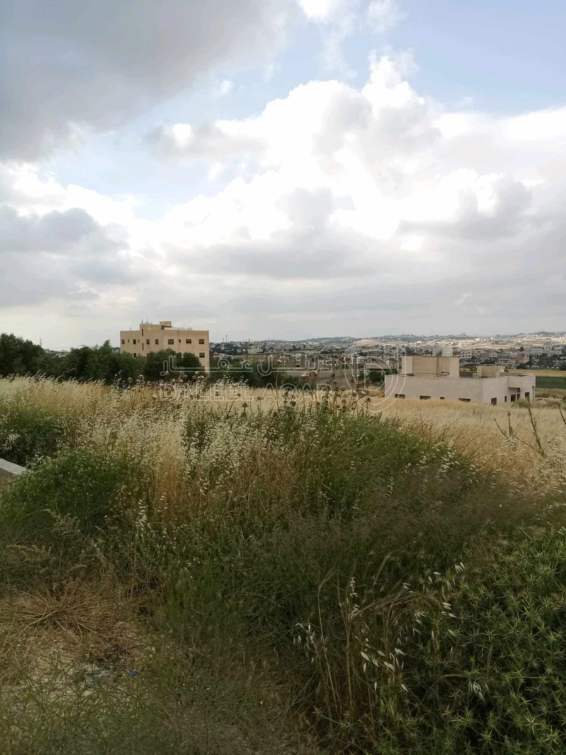 أرض في العال والروضه حوض بدر طريق مادبا الغربي - 56,000 دأ - صورة 1