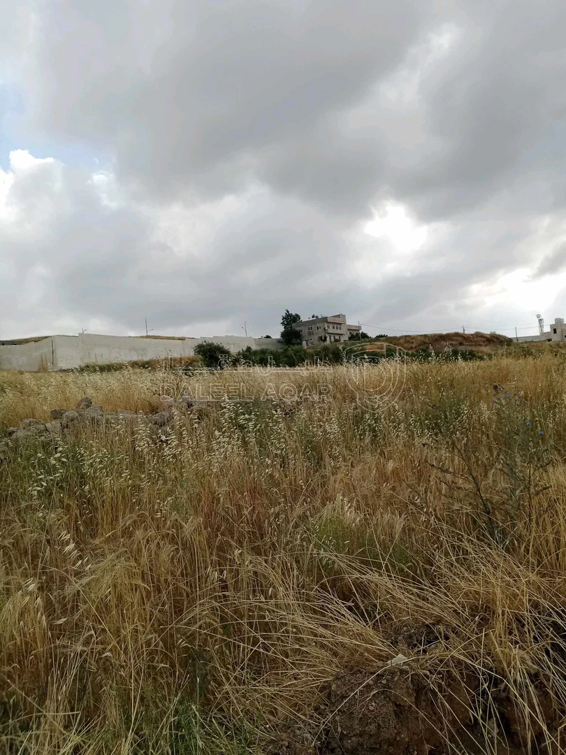 أرض في العال والروضه حوض بدر طريق مادبا الغربي - 56,000 دأ - صورة 1