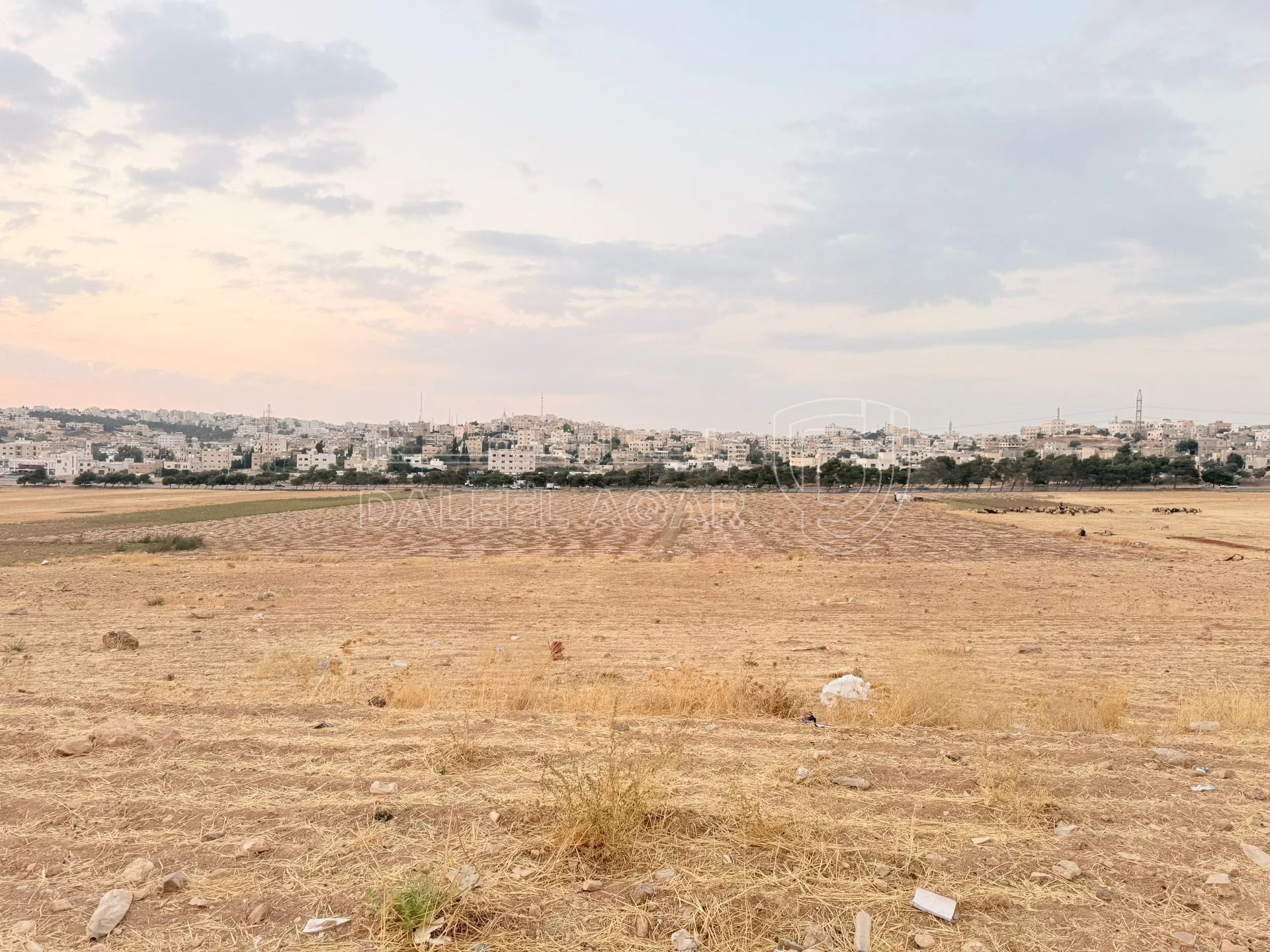 أرض في أرض سكنية للبيع في الجويدة – تنظيم سكن (ب) - 107,100 دأ - صورة 1