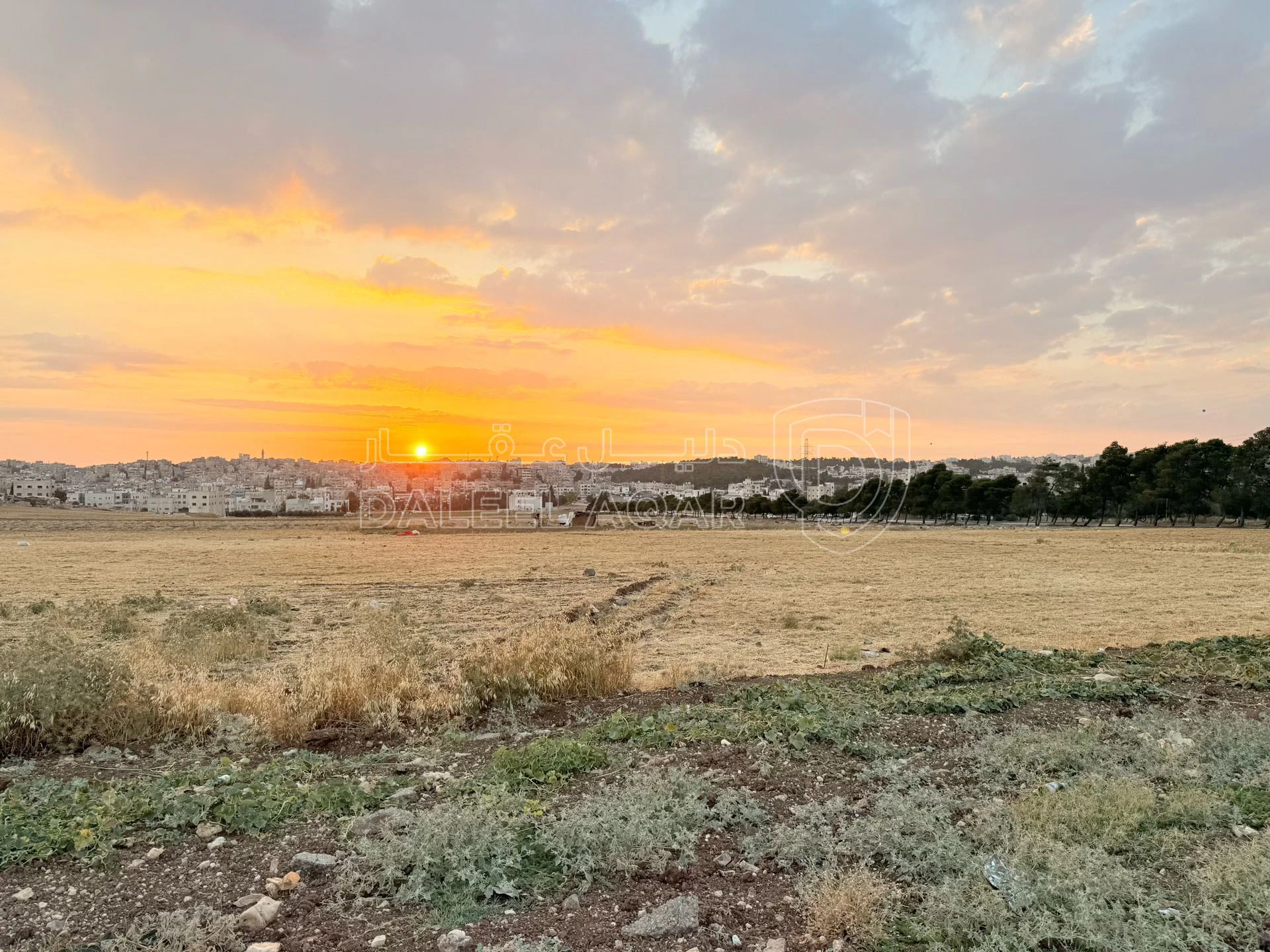 أرض في أرض سكنية للبيع في الجويدة – تنظيم سكن (ب) - 107,100 دأ - صورة 1