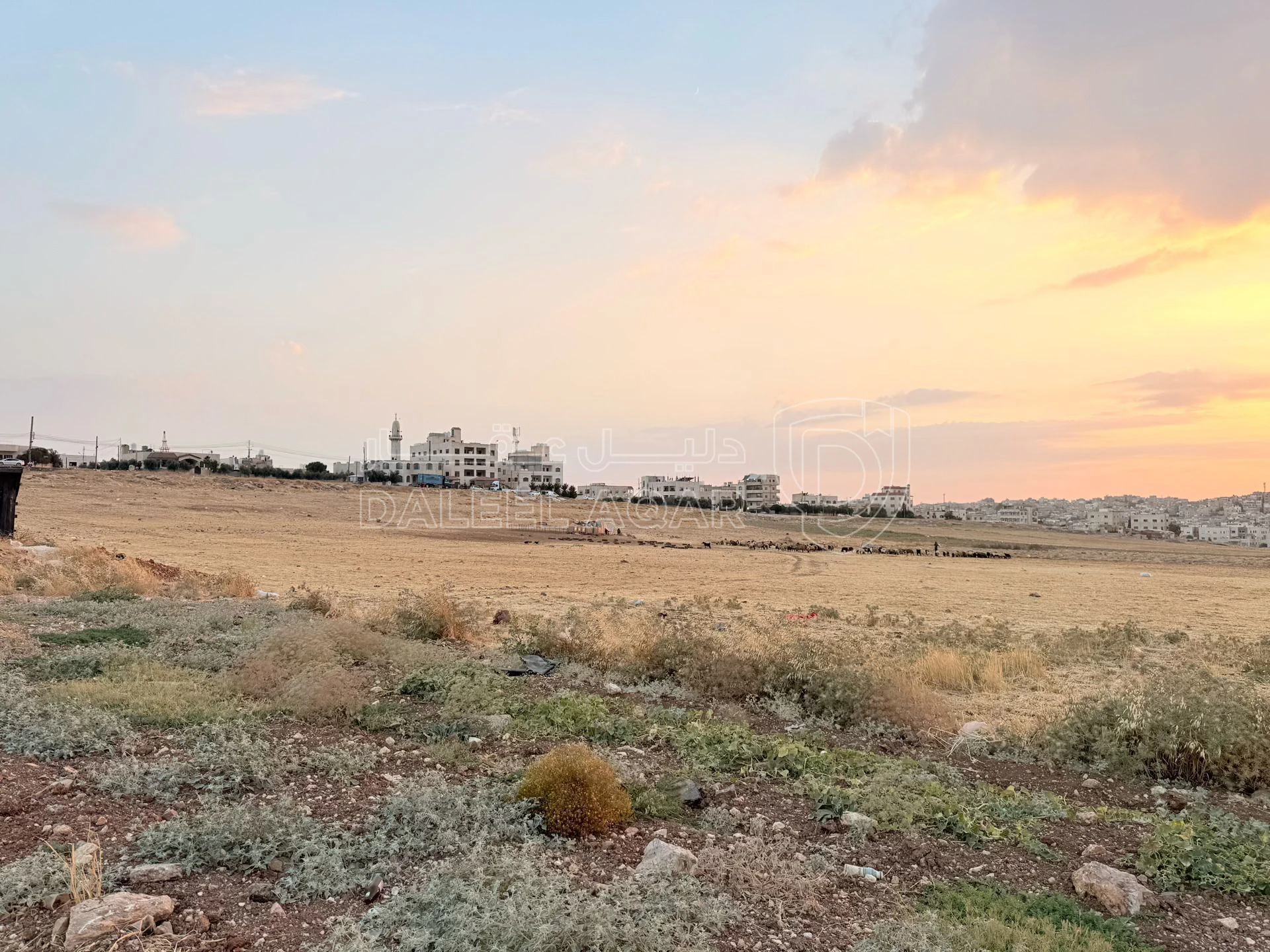 أرض في أرض سكنية للبيع في الجويدة – تنظيم سكن (ب) - 107,100 دأ - صورة 1