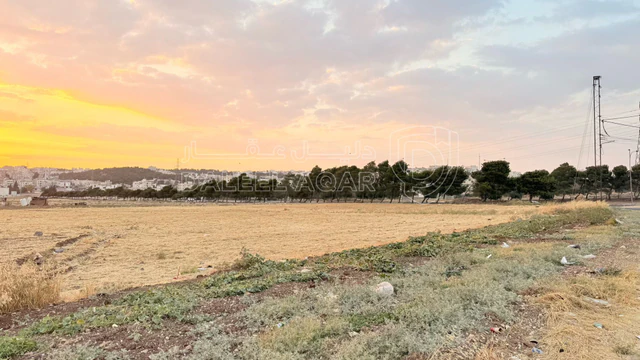 أرض في أرض سكنية للبيع في الجويدة – تنظيم سكن (ب) - 107,100 دأ - صورة NaN