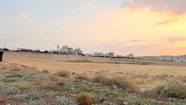 أرض في أرض سكنية للبيع في الجويدة – تنظيم سكن (ب) - 107,100 دأ - صورة NaN