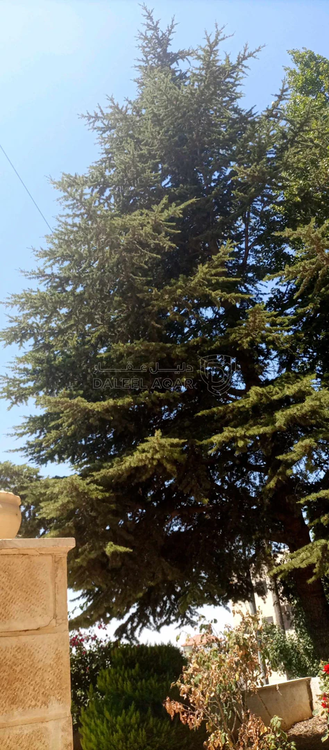 مبنى في مرج الحمام  مسجد الربوة مقابل أكاديمية منارة المرج - 750,000 دأ - صورة 1