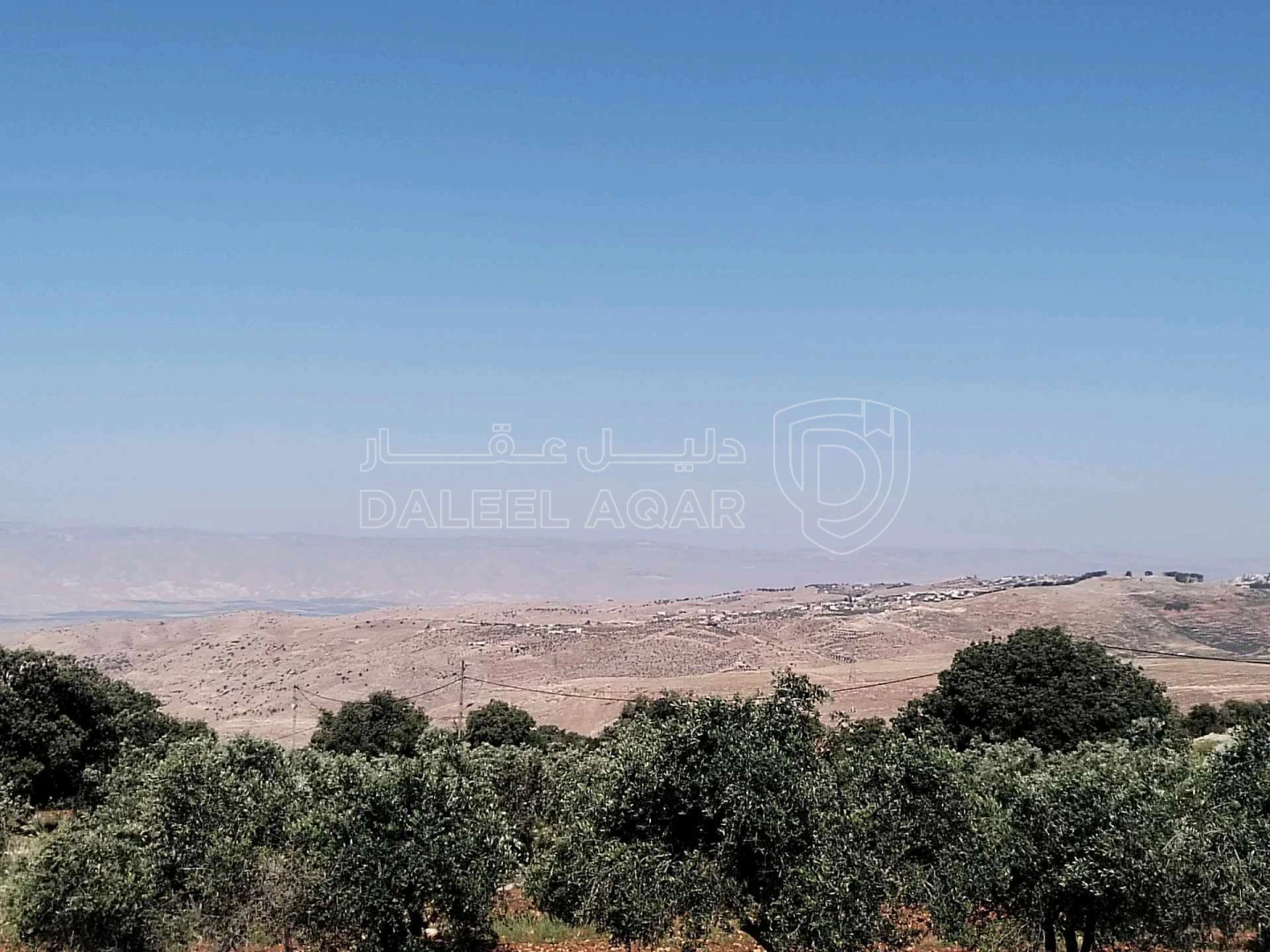 أرض في غرب عمان بدر الجديده حوض ام عبهره  - 250,000 دأ - صورة 1