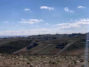 أرض في الزرقاء جريبا حوض حمات صبح قريبة من شفا بدران  - 29,000 دأ - صورة NaN