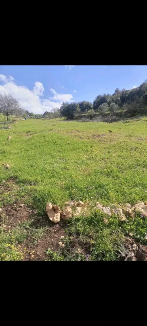 أرض في الشارع الرئيسي عجلون _اربد - 49,500 دأ - صورة 1