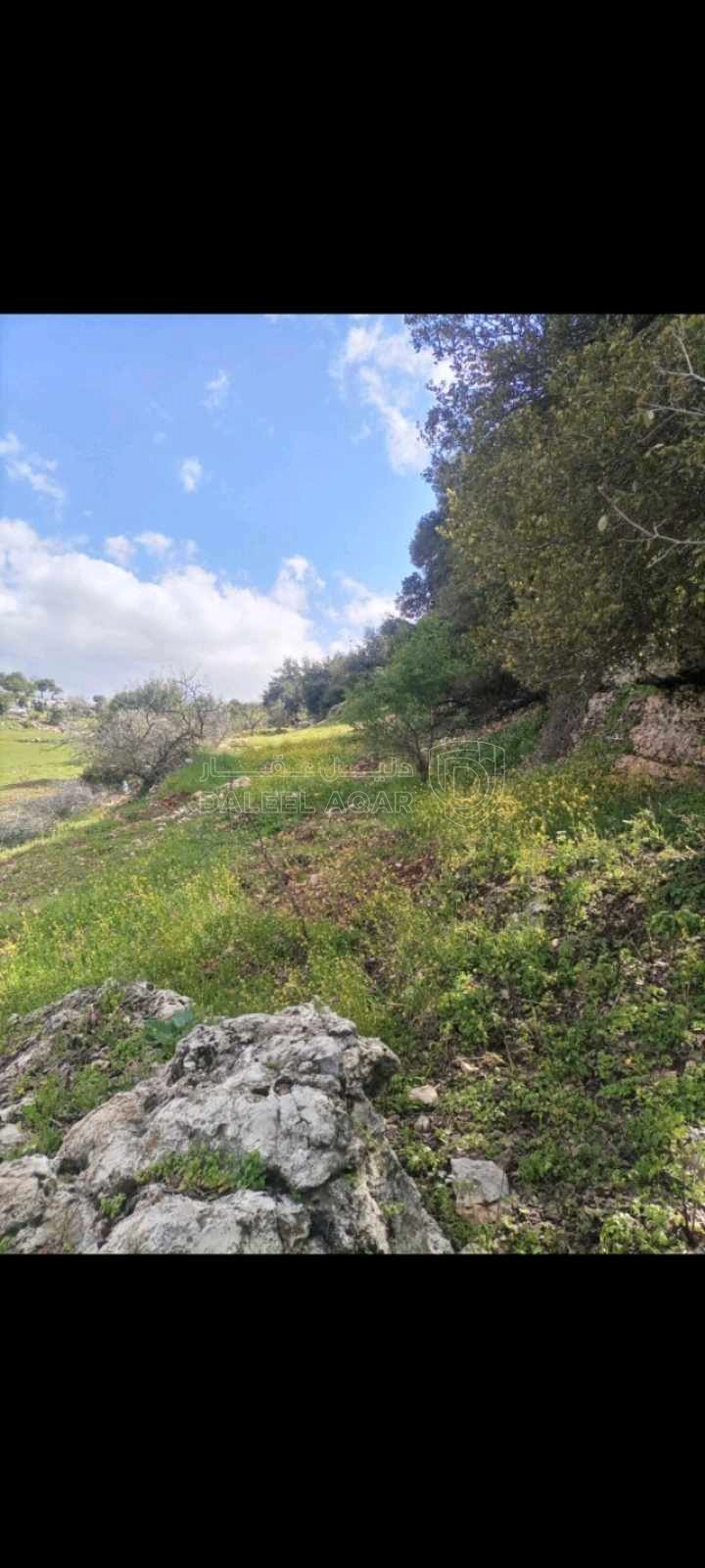 أرض في الشارع الرئيسي عجلون _اربد  - 49,500 دأ - صورة 1