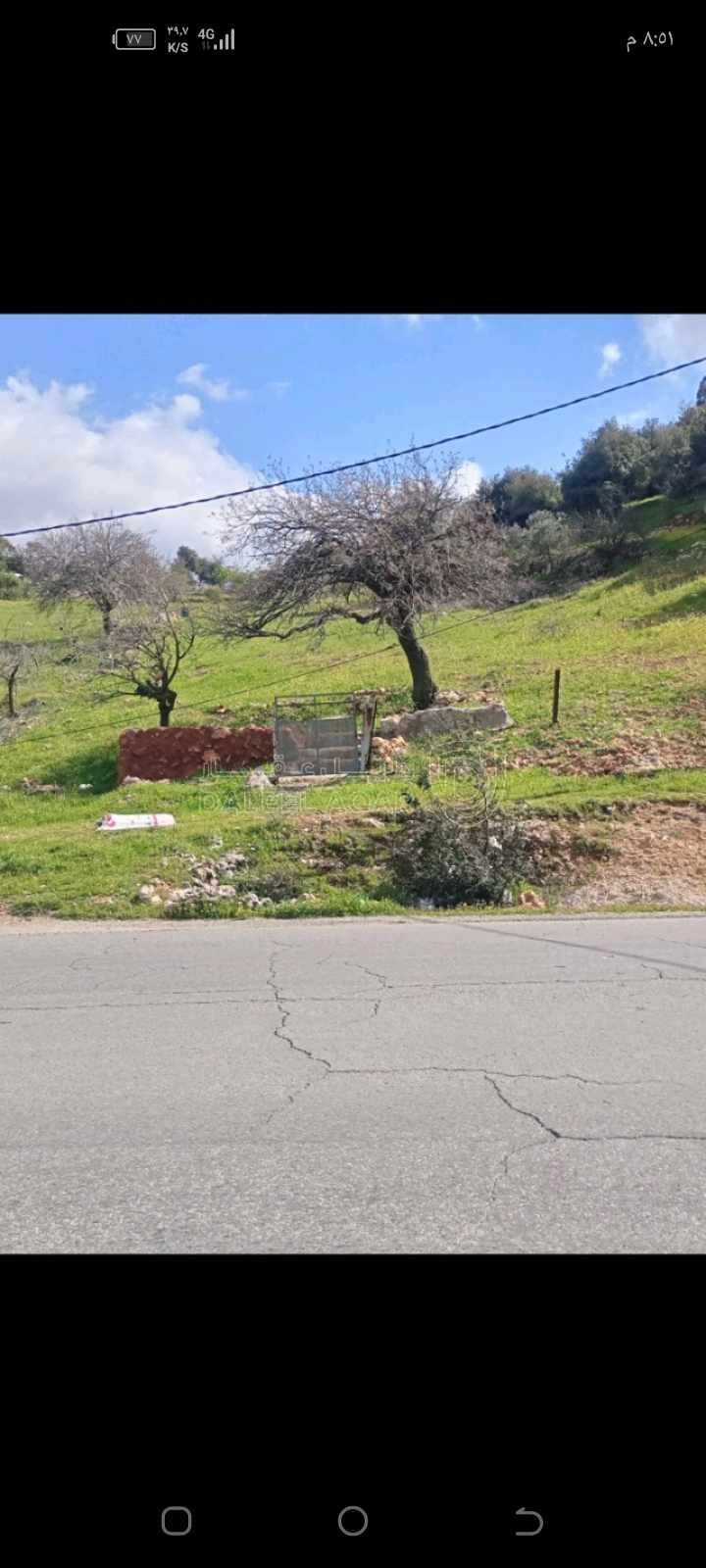 أرض في الشارع الرئيسي عجلون _اربد  - 49,500 دأ - صورة 1