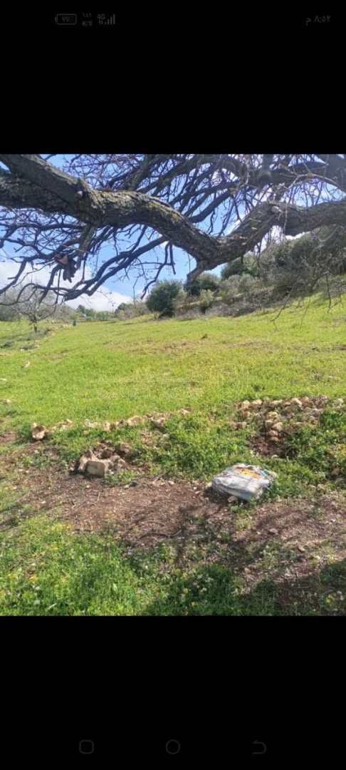 أرض في الشارع الرئيسي عجلون _اربد  - 49,500 دأ - صورة 1