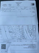 أرض في السهل الجنوبي - 1,300,000 دأ - صورة NaN